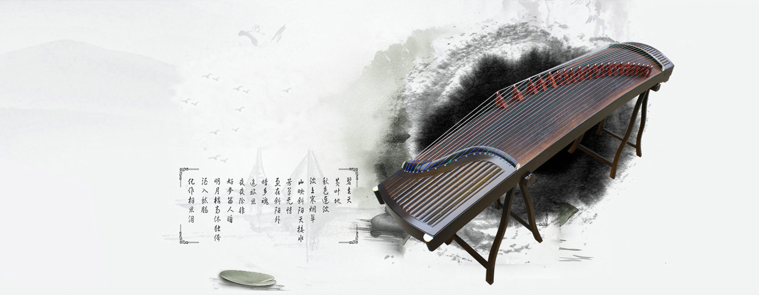 Chinese Musical Instrument Store