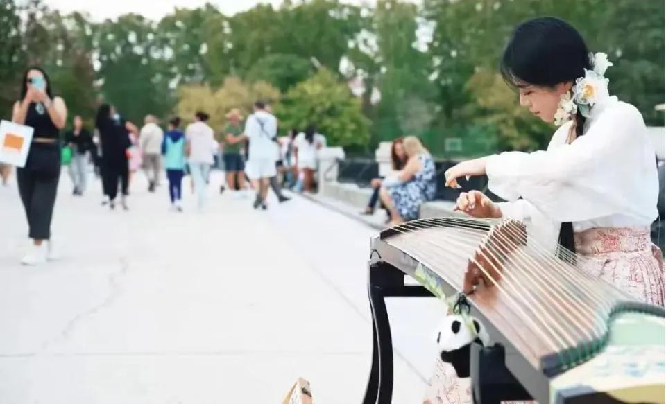 Toronto Guzheng Sales: A New Cultural Note in the Local Market